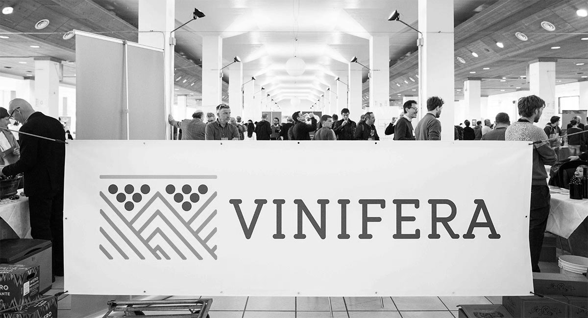 vinifera bn vinifera