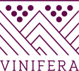 Vinifera, Forum di vino e passione Logo